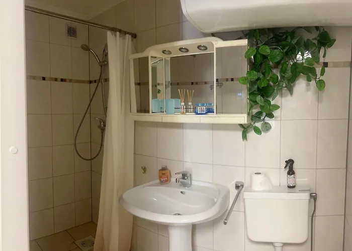 Weintrauben * Пярну